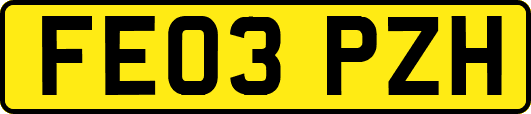 FE03PZH