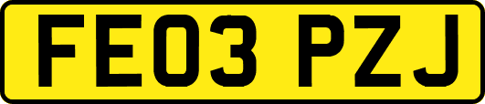 FE03PZJ