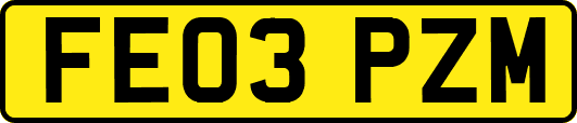 FE03PZM