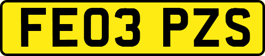 FE03PZS