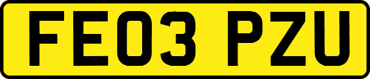 FE03PZU