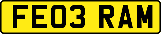 FE03RAM