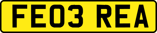 FE03REA