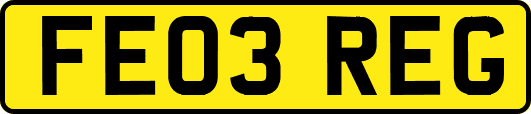 FE03REG