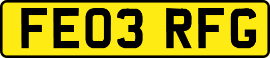 FE03RFG