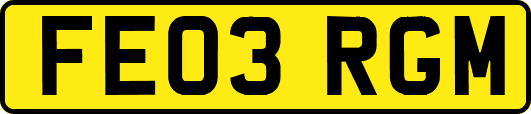 FE03RGM