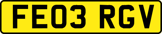FE03RGV