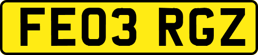 FE03RGZ