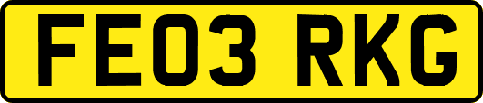 FE03RKG
