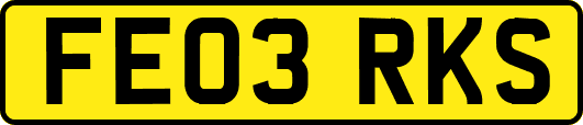 FE03RKS