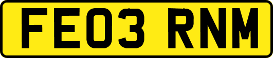 FE03RNM
