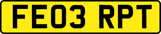 FE03RPT