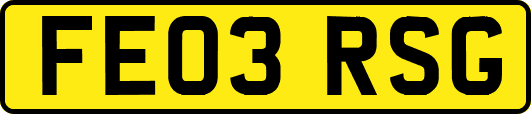 FE03RSG
