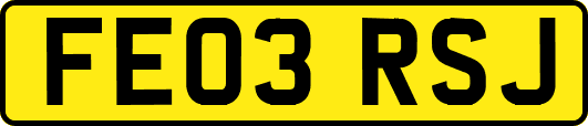 FE03RSJ