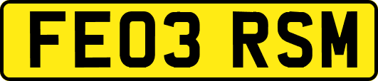 FE03RSM
