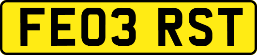 FE03RST