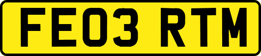 FE03RTM