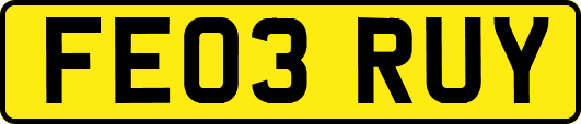 FE03RUY