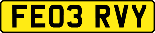 FE03RVY