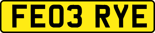 FE03RYE
