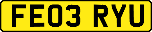 FE03RYU