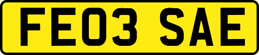 FE03SAE