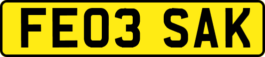 FE03SAK