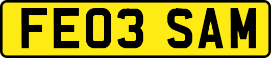 FE03SAM