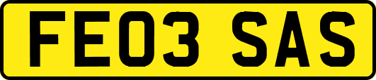 FE03SAS