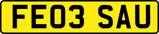 FE03SAU