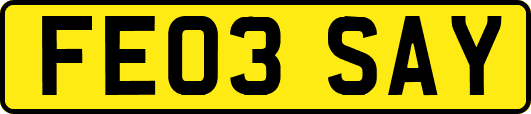 FE03SAY