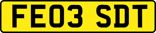 FE03SDT