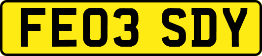 FE03SDY