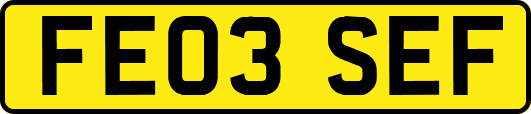 FE03SEF