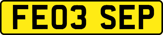 FE03SEP