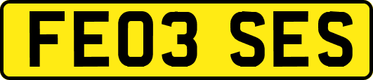 FE03SES