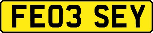 FE03SEY