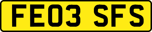 FE03SFS