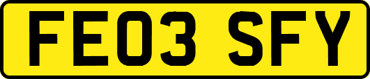 FE03SFY