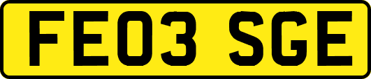 FE03SGE