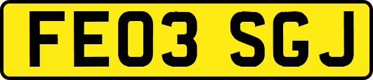 FE03SGJ