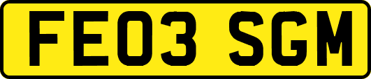 FE03SGM