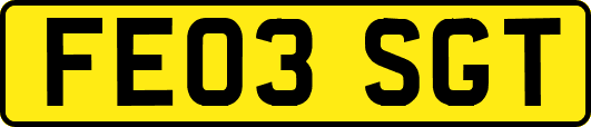 FE03SGT