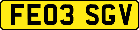 FE03SGV