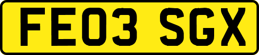 FE03SGX