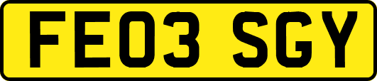 FE03SGY