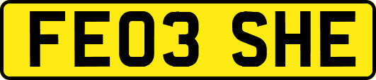 FE03SHE