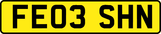 FE03SHN