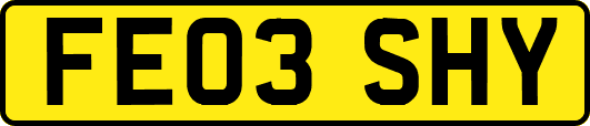 FE03SHY