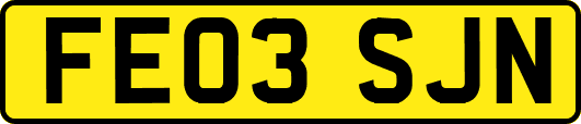 FE03SJN